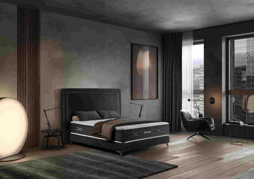 Матрас Dupen Titanium Tech 160x200 см DTITANIUM160200 фото